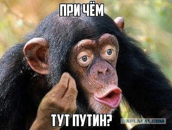 А вот и главные бенефициары подъехали..