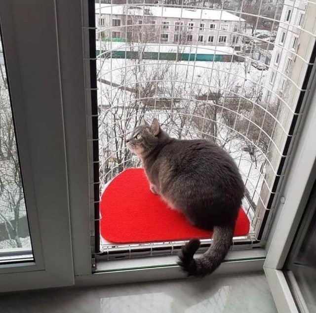 Пятница. картинки. 24 шт