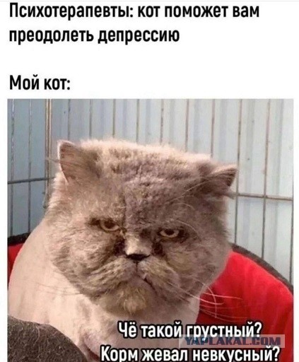 Нужно больше экспре... депрессии