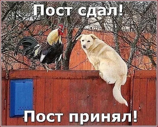 Четверговые картинки.