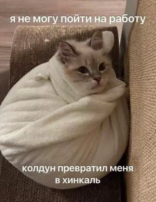 Так себе картинки 03.11.25