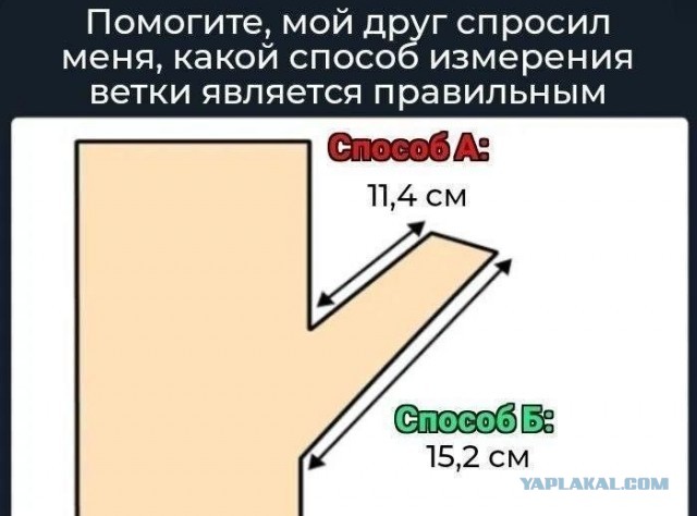 Картинки для деградации 193 (разной степени свежести)