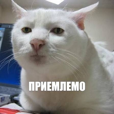 работа! нужны специалисты в облаcти 3D