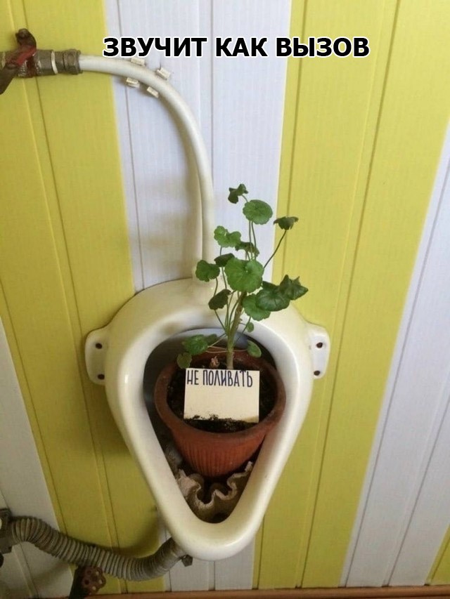 Картинке