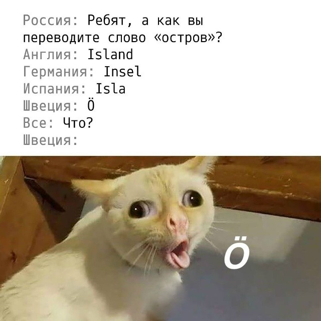 Обнаружен самый милый чайник