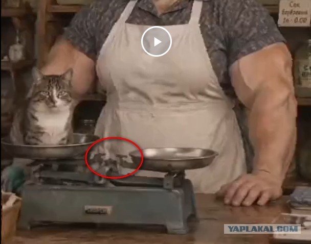 Березовый сок в СССР