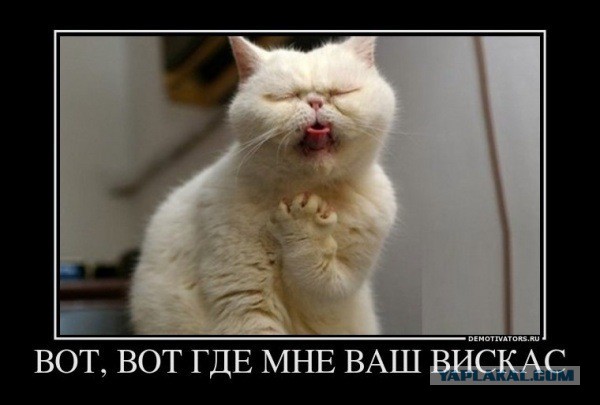 Не про олимпиаду