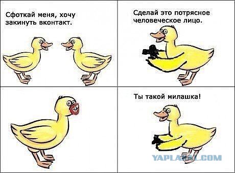 Весёлые картинки. Разбавим будни