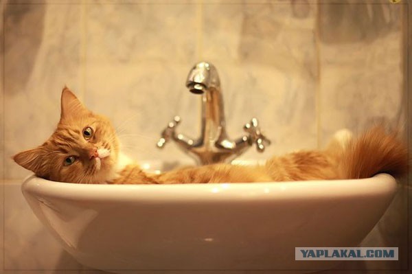 Давай к нам.