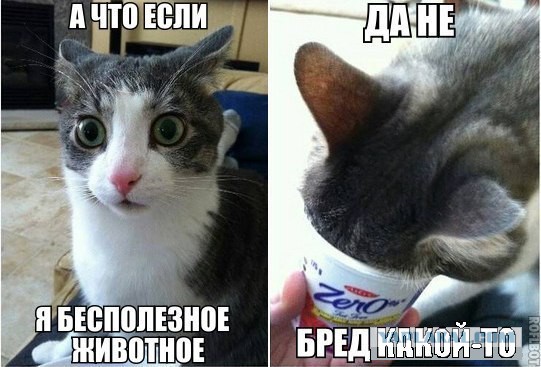 Пятничная подборка для поднятия настроения