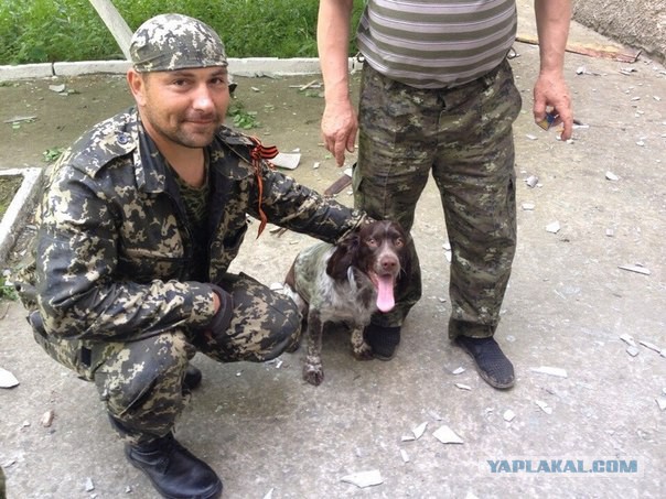 Они сражались за Родину