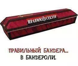 Донецк. 29 августа