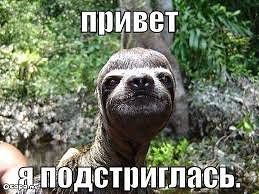 Картинки