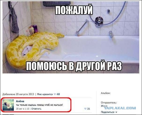 Смешные комментарии из социальных сетей