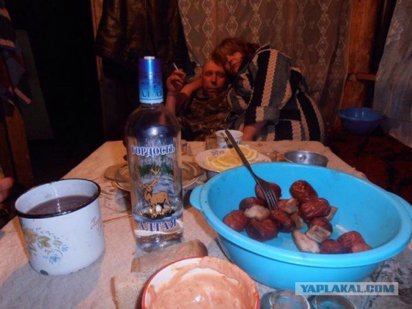 Как встретили 2015....
