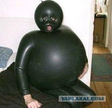 Дайвер случайно "раскрыл" осьминога
