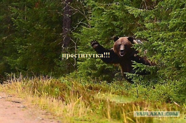 Изменил любимый любовник