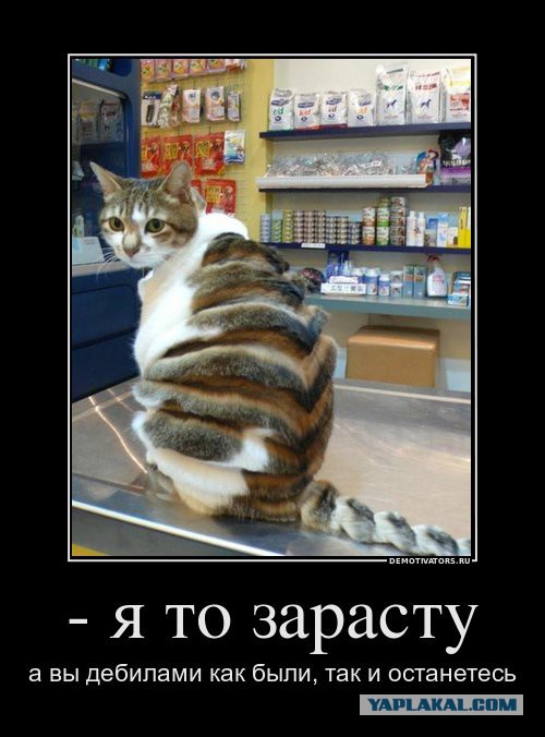 Мой хозяин идиот часть"N"