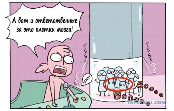 Клетки мозга облажались!
