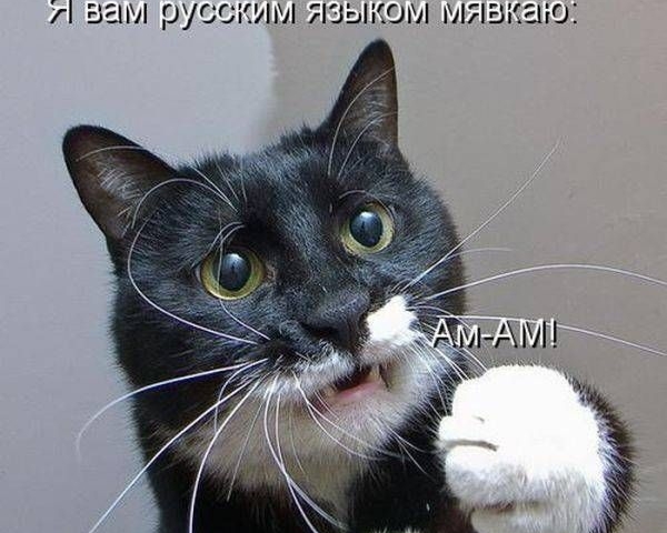 Обидели котейку? Получите, распишитесь!