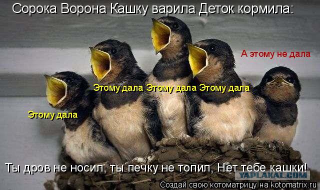 Когда кто-то плюсует твой заминусованый пост