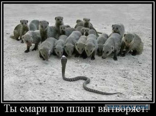 Зачем женщины хотят замуж?