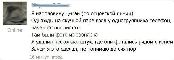 Смешные комментарии из социальных сетей