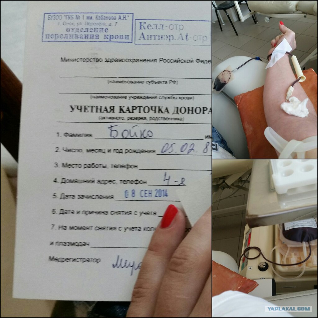 Анкета донора крови