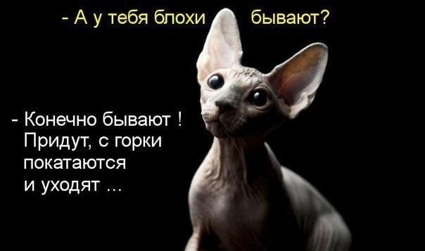 Подборка прикольных фото на пятницу