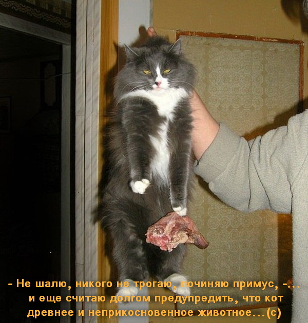 Пойман с поличным...