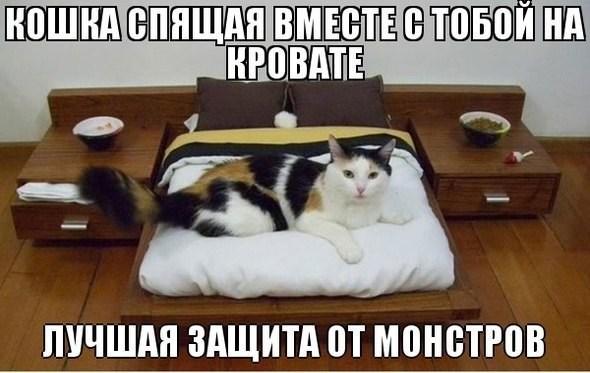 А давайте улыбнёмся В Новом Году