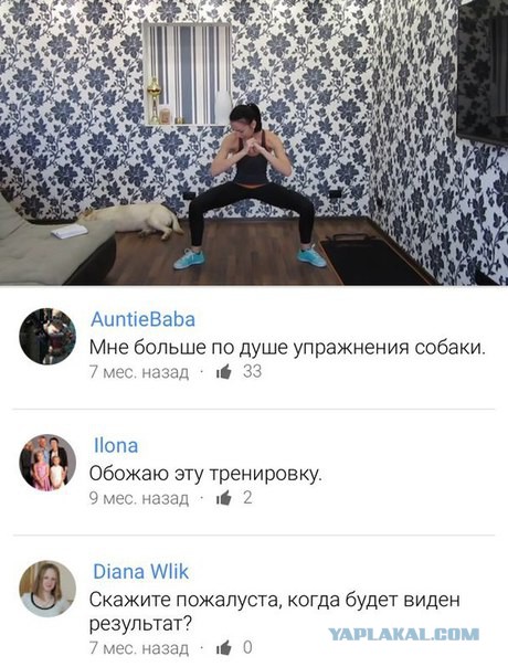 Смешные комментарии из социальных сетей 05.02.2016