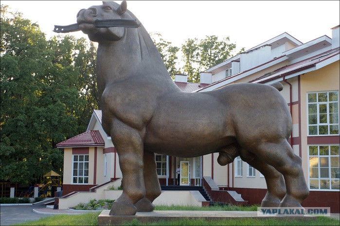 Гостиница яр воронеж конь