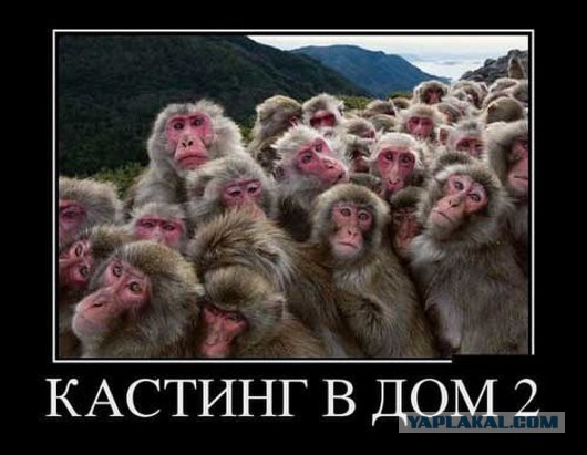 Картинки из сети, подборка на пятницу.