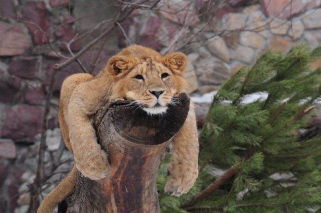 История одной фотографии