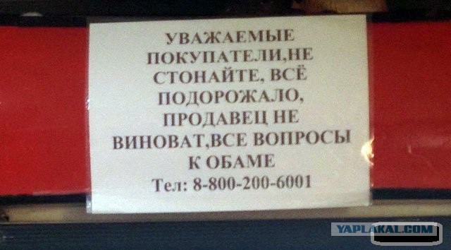 "Нет мочи жить в этой стране без рукколы и без голубики!"
