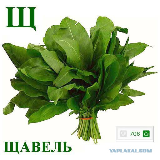 Белорус в России
