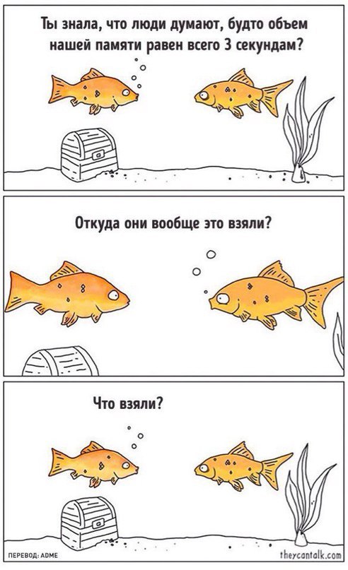 Весёлые картинки