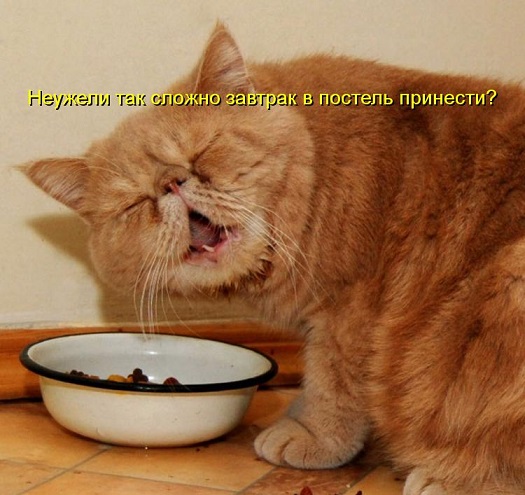 Кофе/Завтрак в постель: как и КУДА?