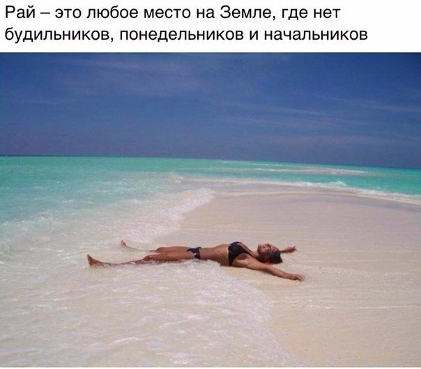 Порция картинок