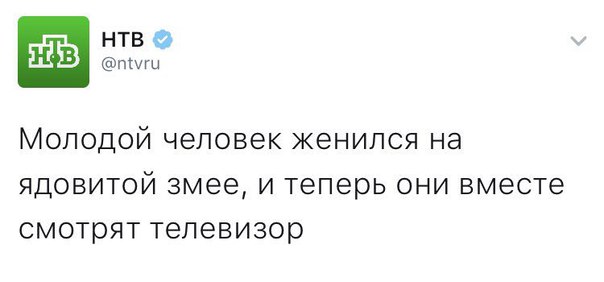 Тупые люди. Тупые животные. Тупые высказывания. Все тупые!