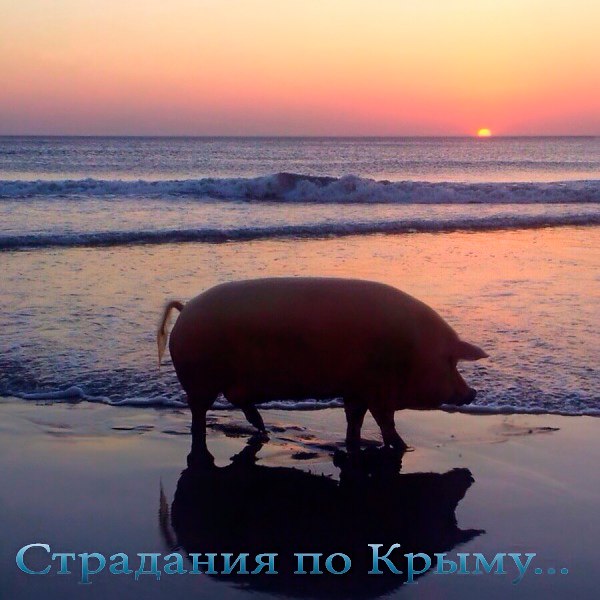 «Крым в любом случае придется брать силой», — главарь «добровольческого батальона «Крым»