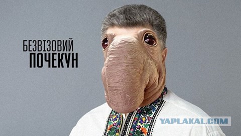 Украинская чиновница сыграла роль благодарной ВСУ жительницы Авдеевки