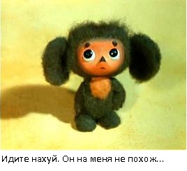Мирзаев: Меня удивляет, что напавших на меня людей так долго ищут