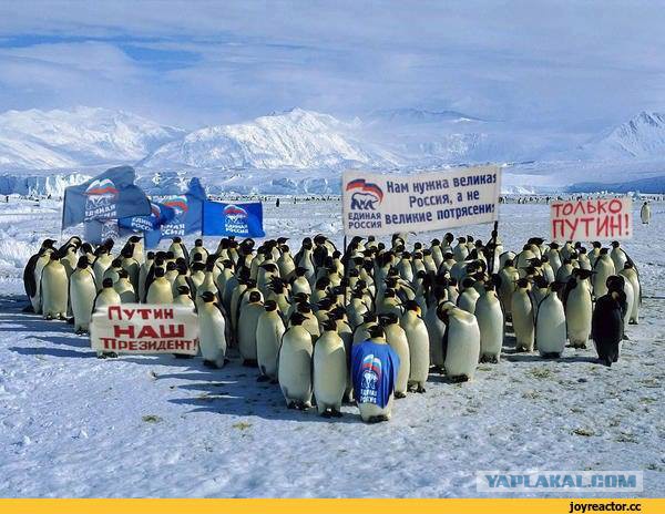 -28 в сибирских регионах.конец света?