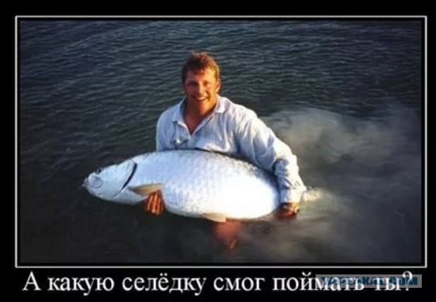 Ненавижу селёдку!
