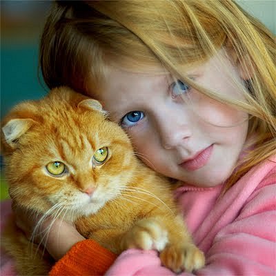 Коты и Кошки