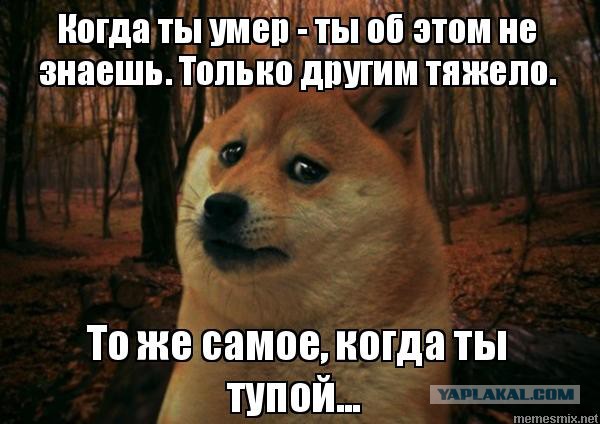 Соседи и их привычка ставить пакеты мусора в подъезде