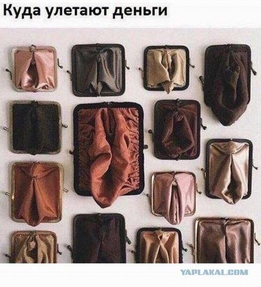 Пять влагалищ