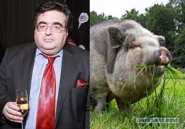 Должны же понимать